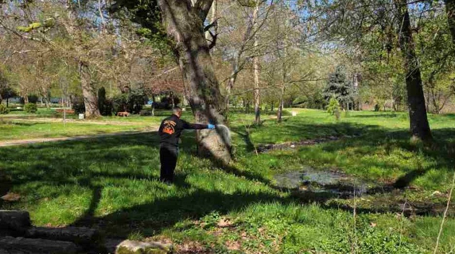 ВО ВЕЛЕС СЕ ВРШИ ИСТОВРЕМЕНО ДЕРАТИЗАЦИЈА И ПРСКАЊЕ ОД ЗЕМЈА ПРОТИВ ЛАРВИ ОД КОМАРЦИ