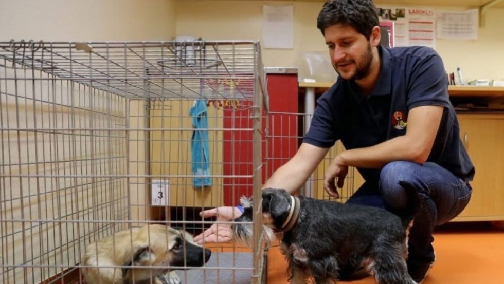 ВЕТЕРИНАРОТ ВОИСЛАВ ДИМИТРОВСКИ Е НОВ ДИРЕКТОР НА „ЛАЈКА“, НА ПЕШЕВА Ѝ ИСТЕКОЛ МАНДАТОТ, ВЕЛИ ГРАД СКОПЈЕ