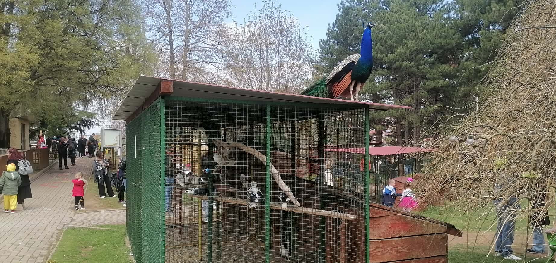 ШТИПСКАТА ЗООЛОШКА ГРАДИНА ДОБИ НОВИ ШЕСТ ЖИВОТНИ