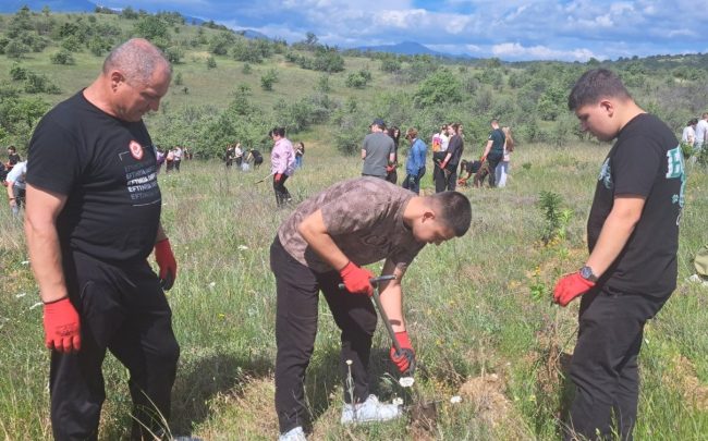 НАД 2 ИЛЈАДИ САДНИЦИ ЗАСАДЕНИ ВО БЛИЗИНА НА ЕЗЕРОТО МЛАДОСТ ВО АКЦИЈА НА КАНЦЕЛАРИЈАТА НА ЕУ ВО СКОПЈЕ