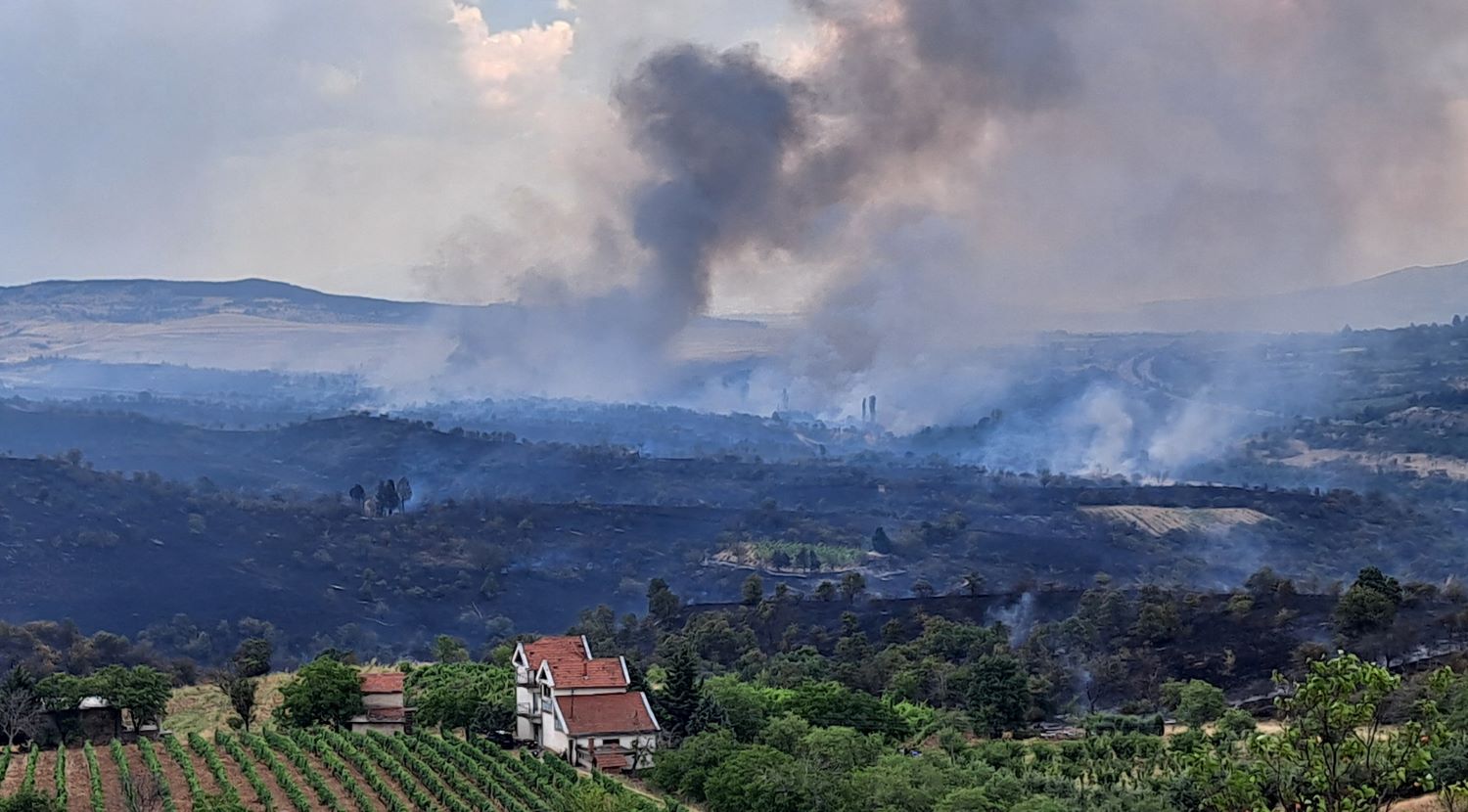 ИЗГОРЕА ЛОЗЈА, ОВОШТАРНИЦИ, ВИКЕНДИЧКИ И САНДАЦИ ПЧЕЛИ ВО ПОЖАРИТЕ КАЈ ТРИТЕ ДОЛА БЛИЗУ ВЕЛЕС