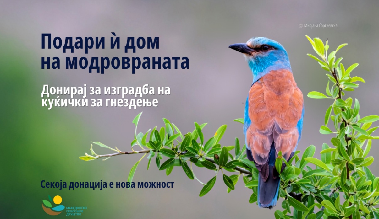 МАКЕДОНСКОТО ЕКОЛОШКО ДРУШТВО ПОЧНА ДОНАТОРСКА АКЦИЈА ЗА ДА СЕ ОБЕЗБЕДАТ КУЌАРКИ ЗА МОДРОВРАНИТЕ МАКЕДОНСКОТО ЕКОЛОШКО ДРУШТВО ПОЧНА ДОНАТОРСКА АКЦИЈА ЗА ДА СЕ ОБЕЗБЕДАТ КУЌАРКИ ЗА МОДРОВРАНИТЕ