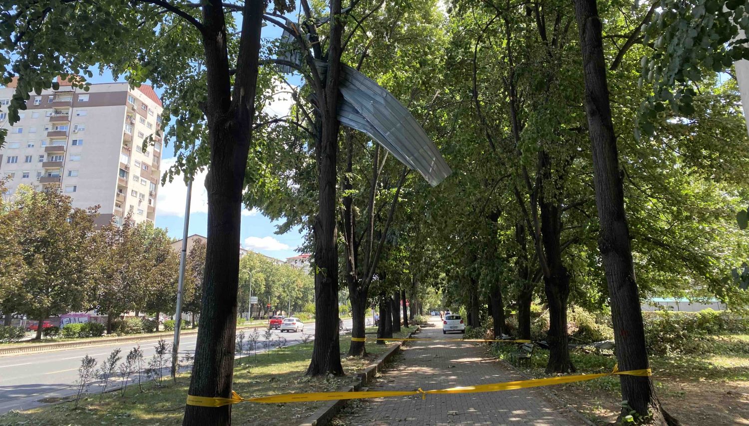 ЛИМ ВИСИ ЗАКАЧЕН НА ДРВЈА ВО СКОПСКИ КАРПОШ 4 ДЕНА ПО НЕВРЕМЕТО ЛИМ ВИСИ ЗАКАЧЕН НА ДРВЈА ВО СКОПСКИ КАРПОШ 4 ДЕНА ПО НЕВРЕМЕТО