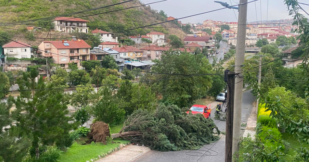 НЕВРЕМЕ ВО ШТИП, СИЛЕН ВЕТЕР ОТКОРНА ДРВЈА И ПОКРИВИ