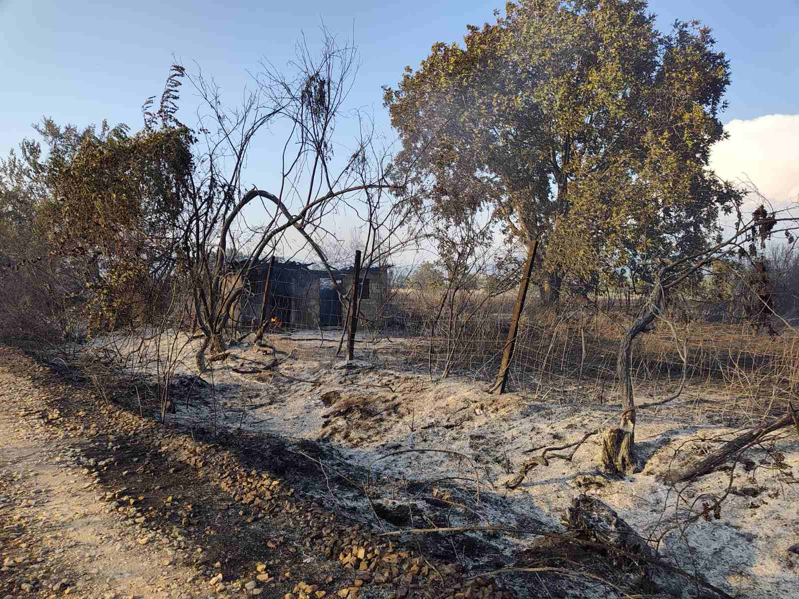 ИЗБИ ПОЖАР МЕЃУ ВОДОЧА И БАНИЦА, СТРУМИЧКО, ИЗГОРЕА ПОМОШНИ ОБЈЕКТИ, ЗЕМЈОДЕЛСКА МЕХАНИЗАЦИЈА И ДОЛГОГОДИШНИ НАСАДИ ИЗБИ ПОЖАР МЕЃУ ВОДОЧА И БАНИЦА, СТРУМИЧКО, ИЗГОРЕА ПОМОШНИ ОБЈЕКТИ, ЗЕМЈОДЕЛСКА МЕХАНИЗАЦИЈА И ДОЛГОГОДИШНИ НАСАДИ